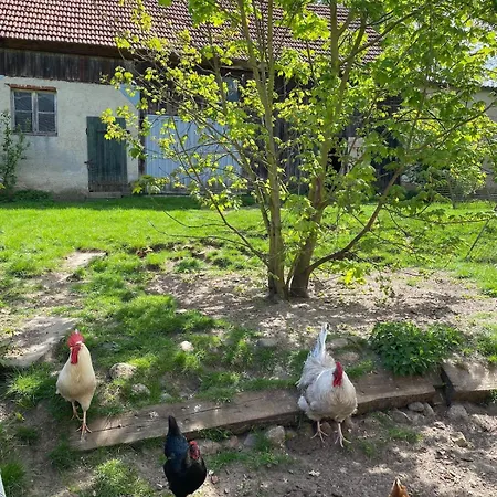 Manor Entire Inspectors House